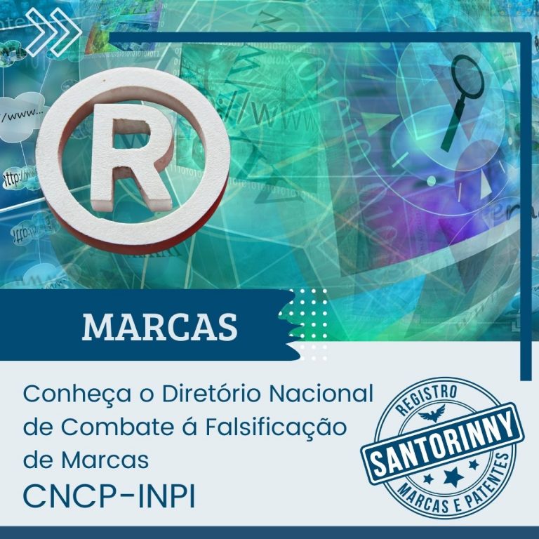 Diretório Nacional de Combate à Falsificação de Marcas: recurso valioso contra a pirataria